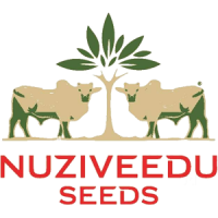Nuziveedu | TRC Consulting